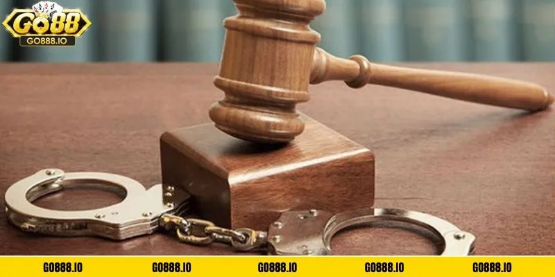 Chúng tôi có làm tốt không?